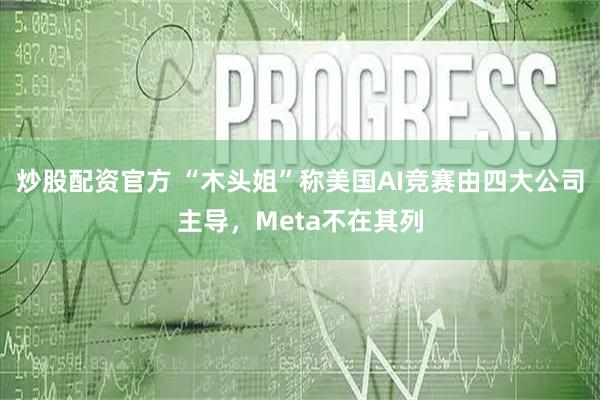 炒股配资官方 “木头姐”称美国AI竞赛由四大公司主导，Meta不在其列