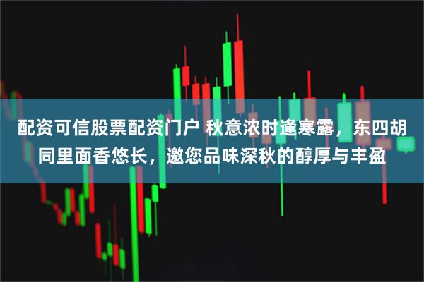 配资可信股票配资门户 秋意浓时逢寒露，东四胡同里面香悠长，邀您品味深秋的醇厚与丰盈